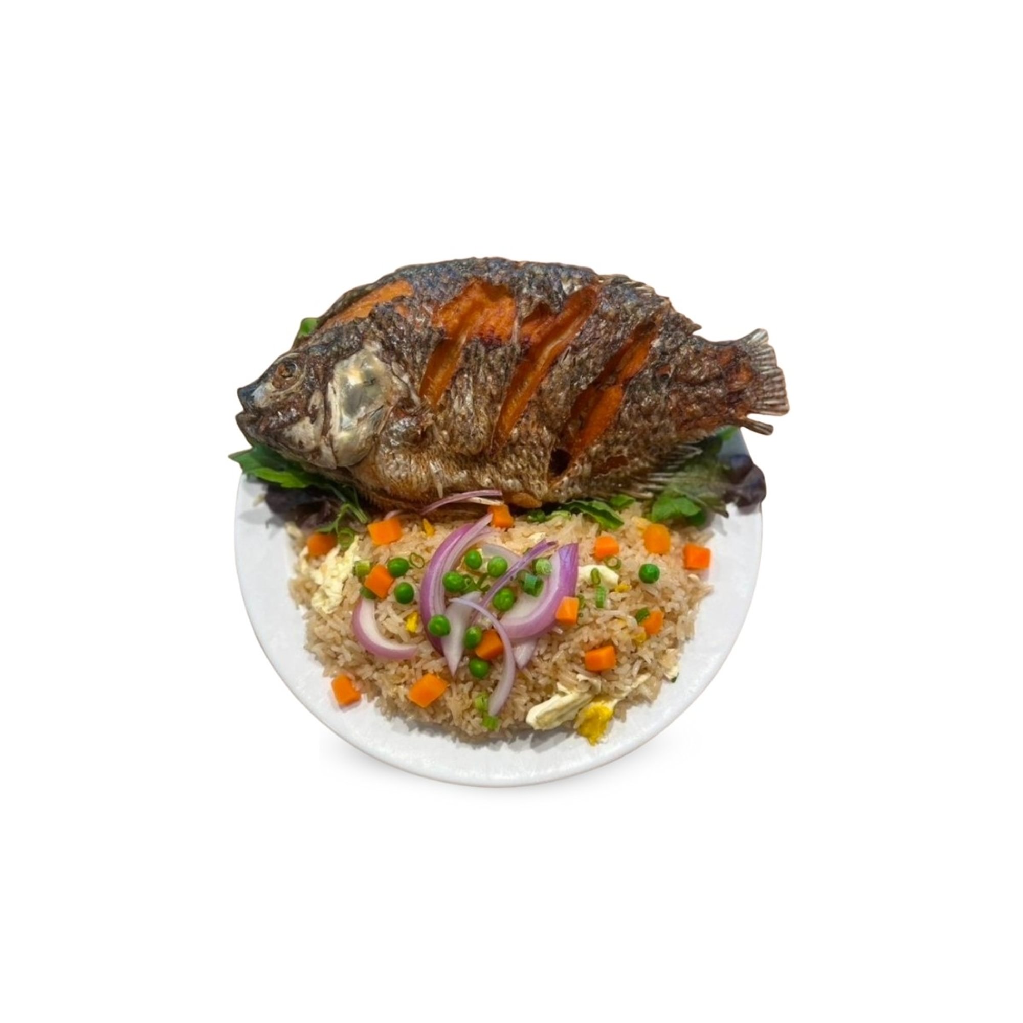 Tilapia