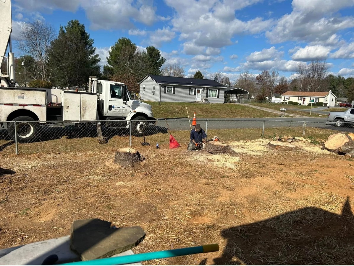 Love Mtn Treescape Services Image