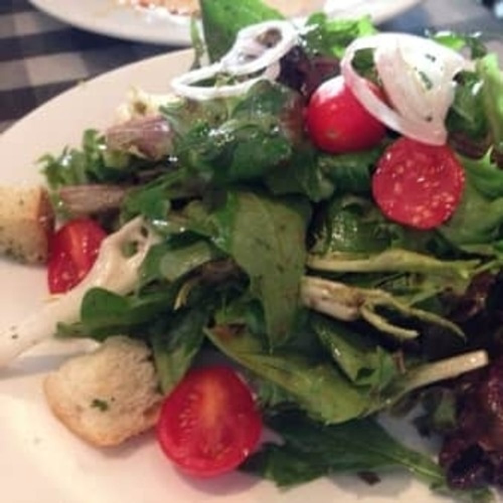 Salmon Salad