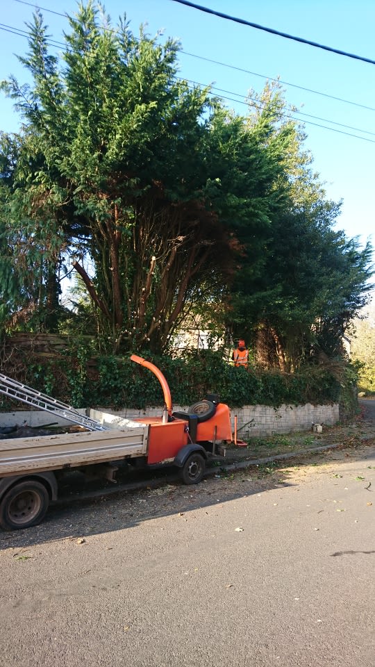 Images K & D Property Maintenance