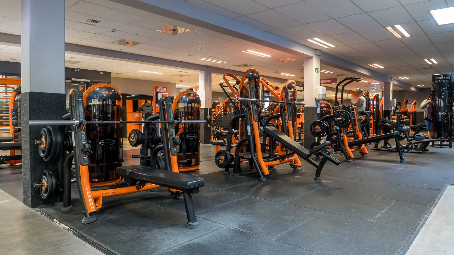 Miniature de la galerie