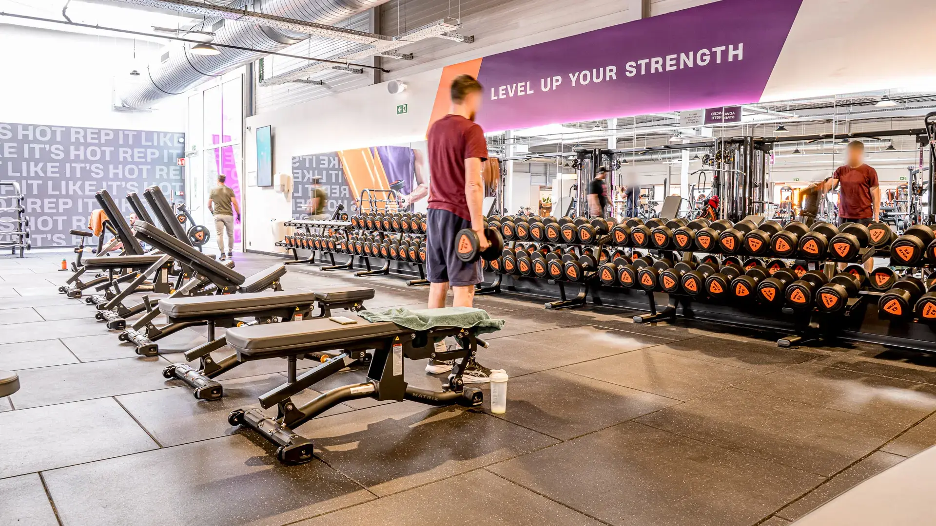 Miniature de la galerie