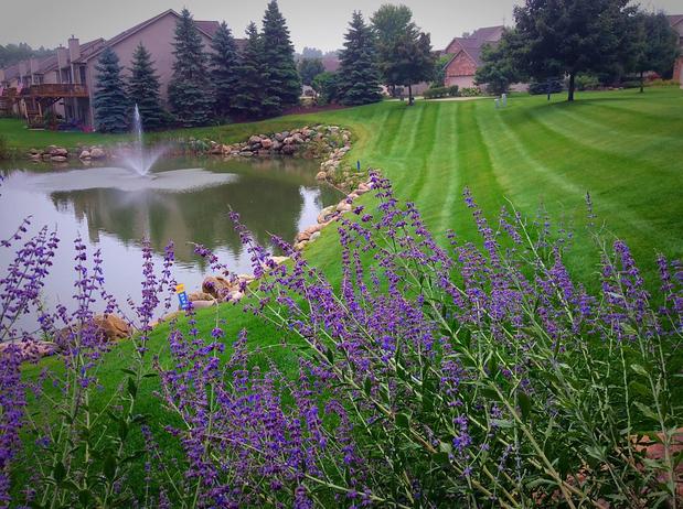 Images ACE Outdoor Services