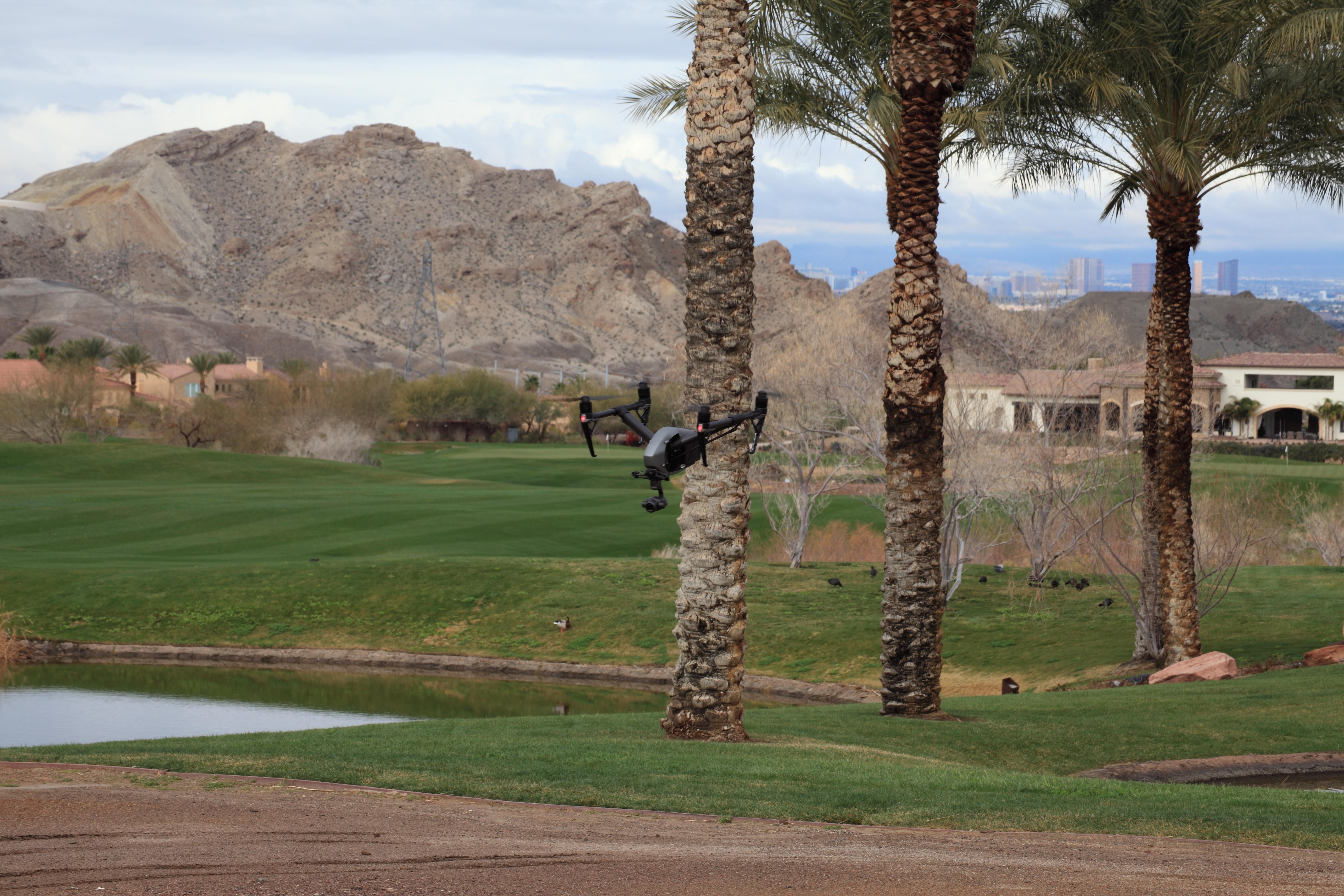 FlyGuys of Las Vegas and Henderson Logo