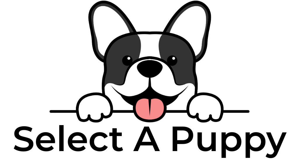 Select A Puppy, Inc. Image