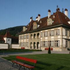 Galerie-Thumbnail