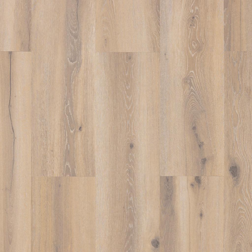 The European Company Image