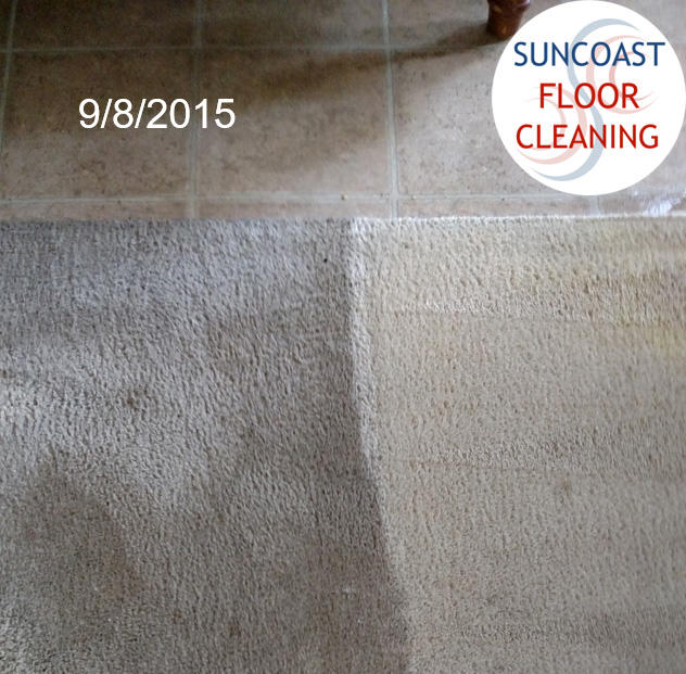 Suncoast Floor Cleaning Photo