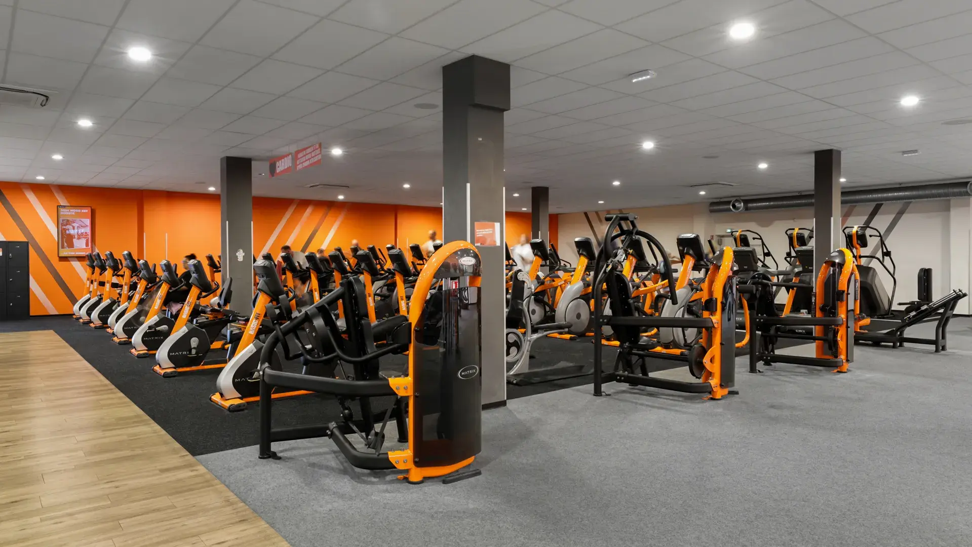 Miniature de la galerie