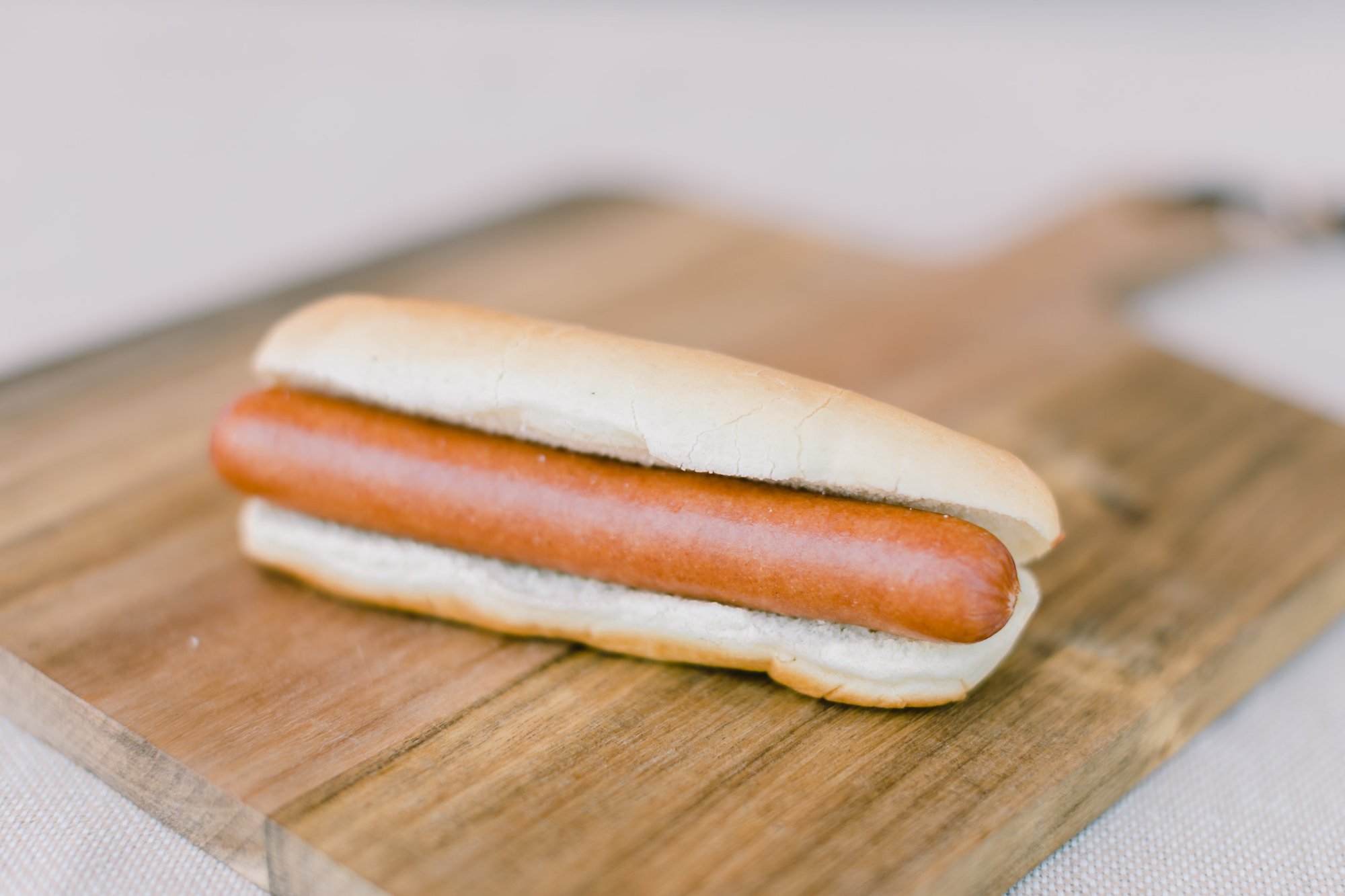 Plain Dog