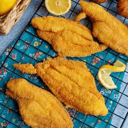 Fish