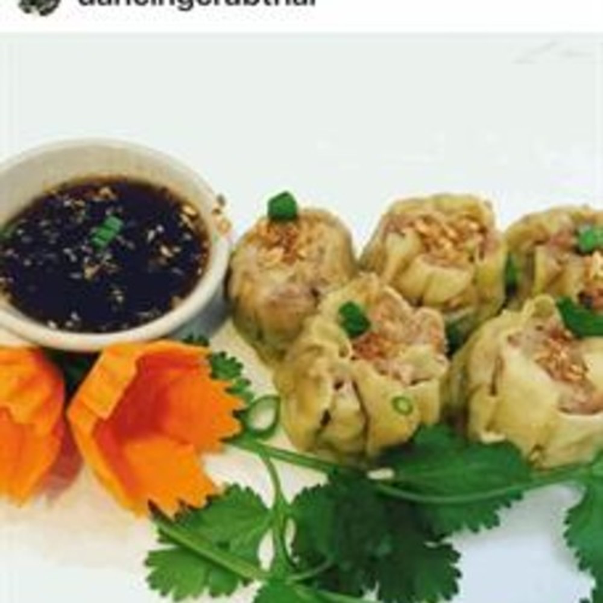 Homemade Steamed Dumpling