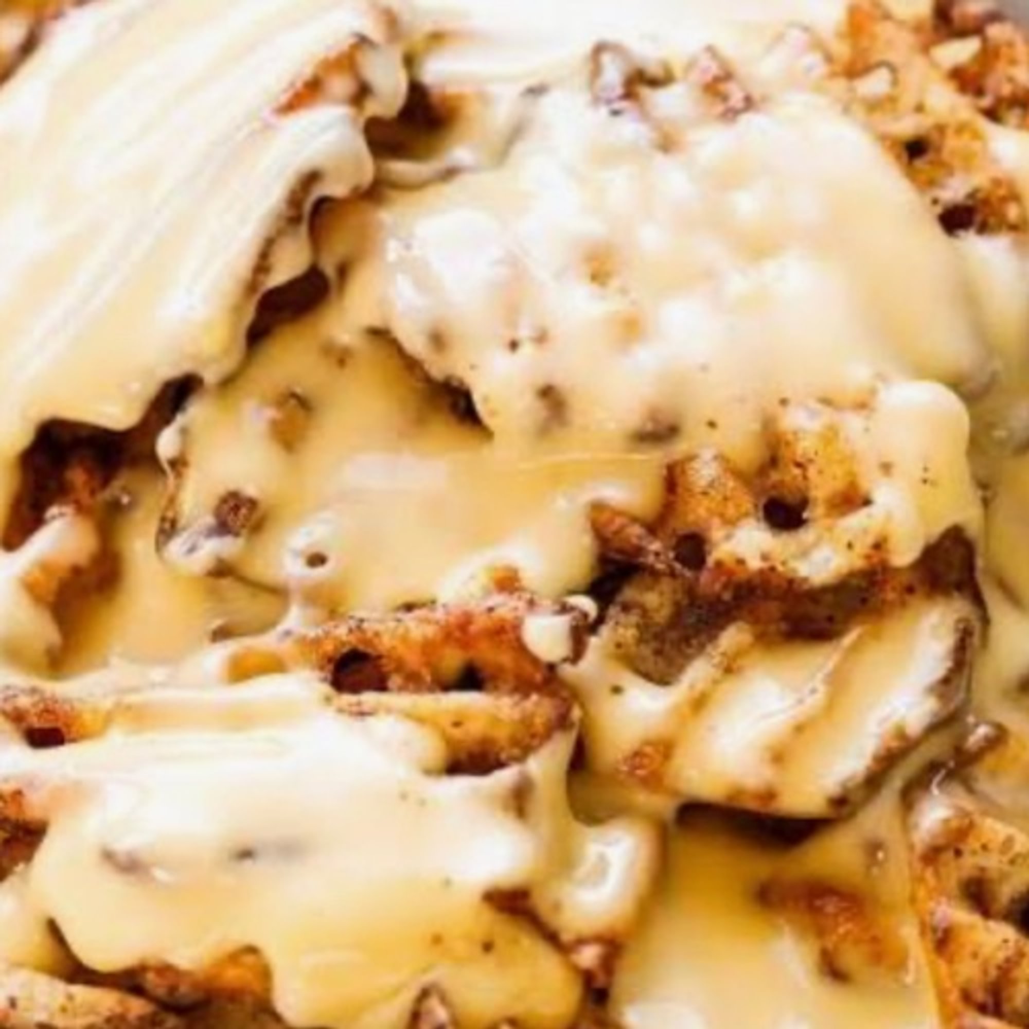 DISCO FRIES