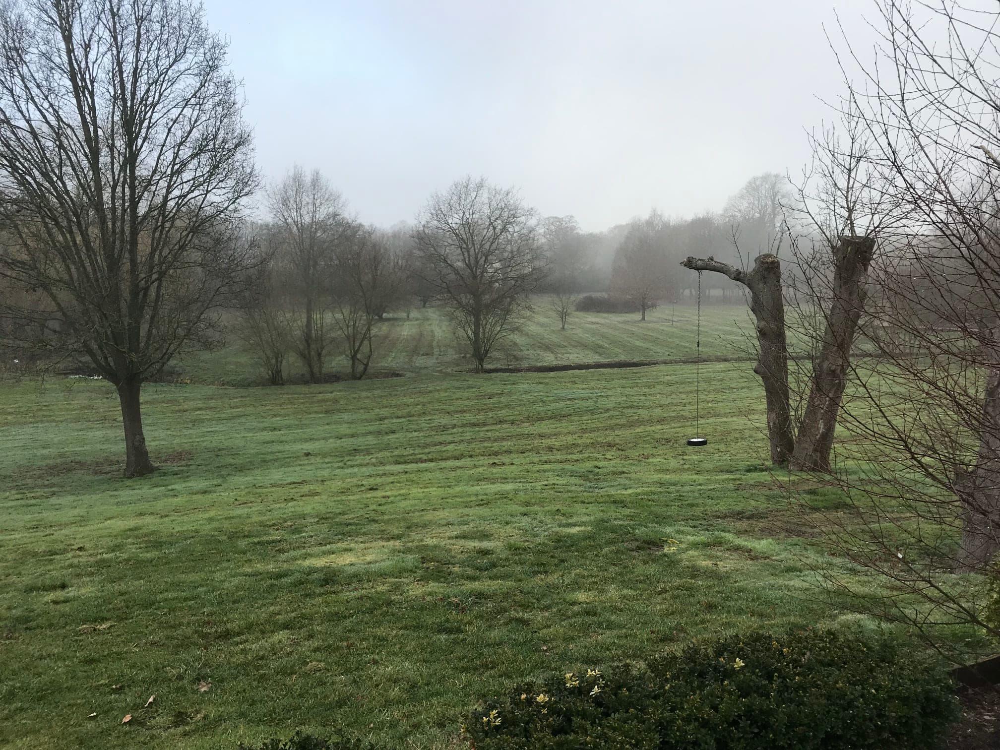 Images Tree & Garden Services