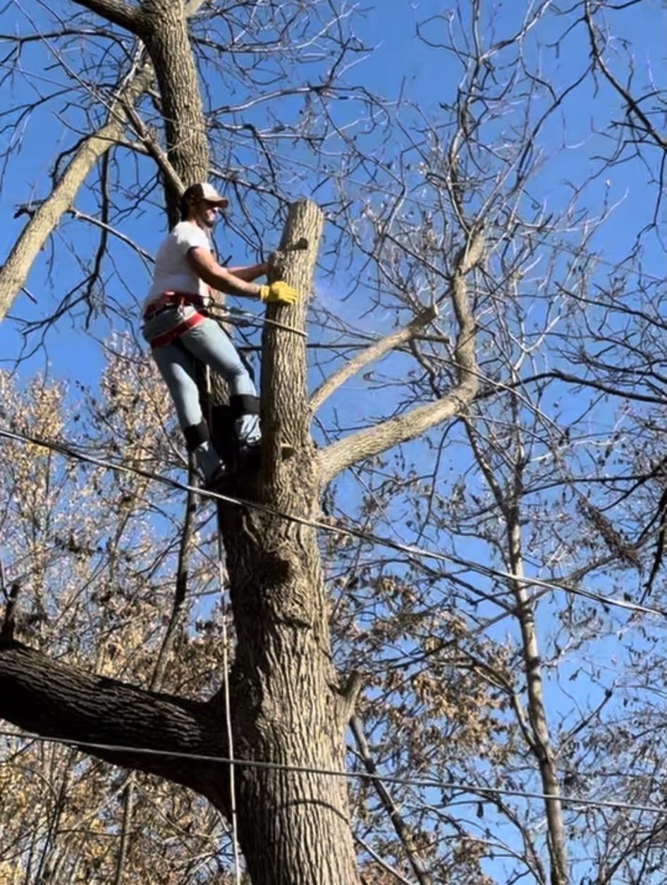 Reed Louis & Pierce Image