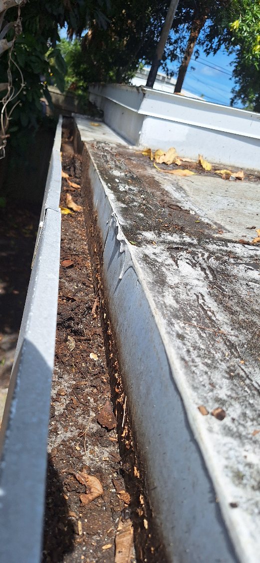 Window Hero Northern Tampa Image