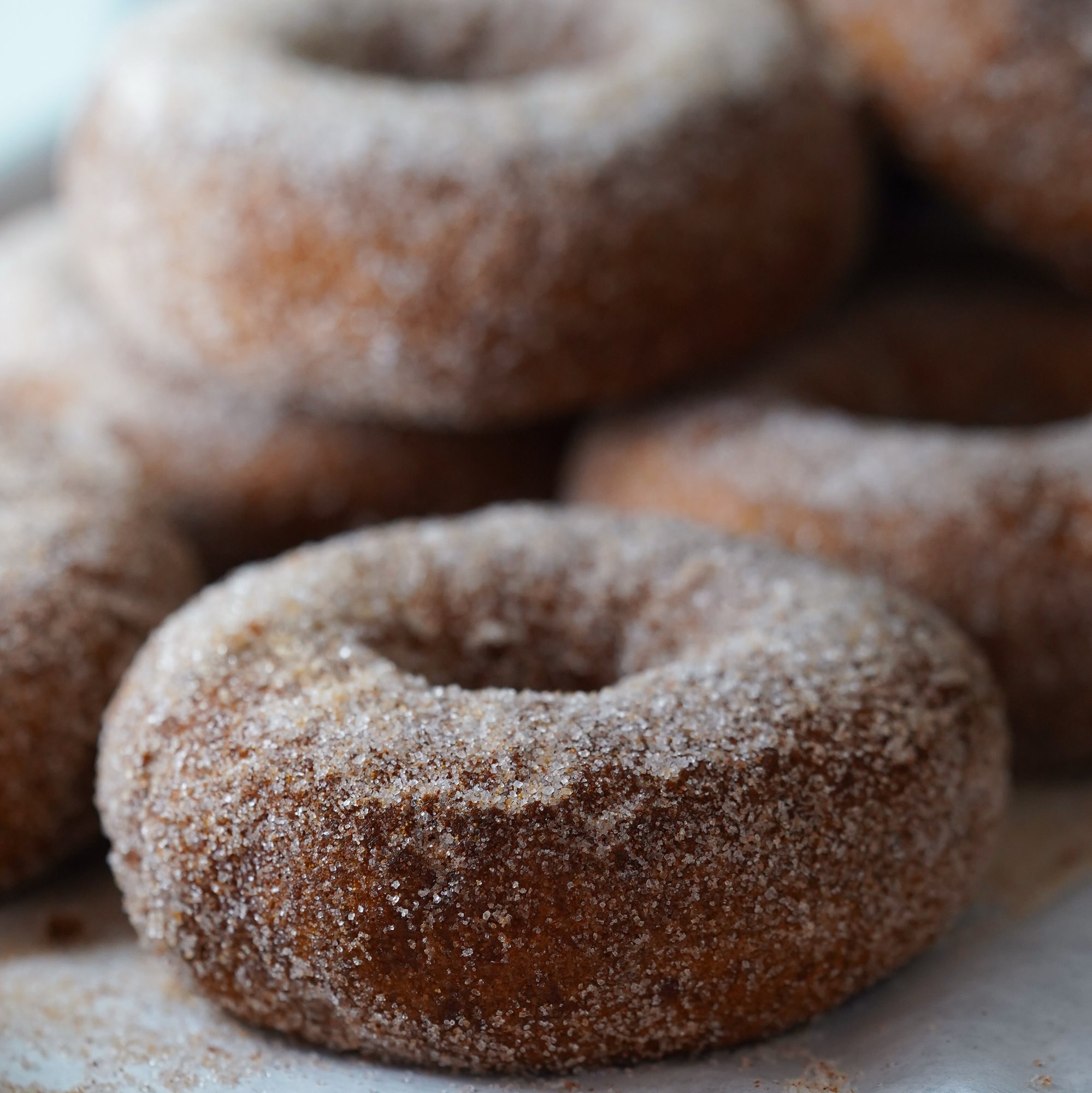 Donut