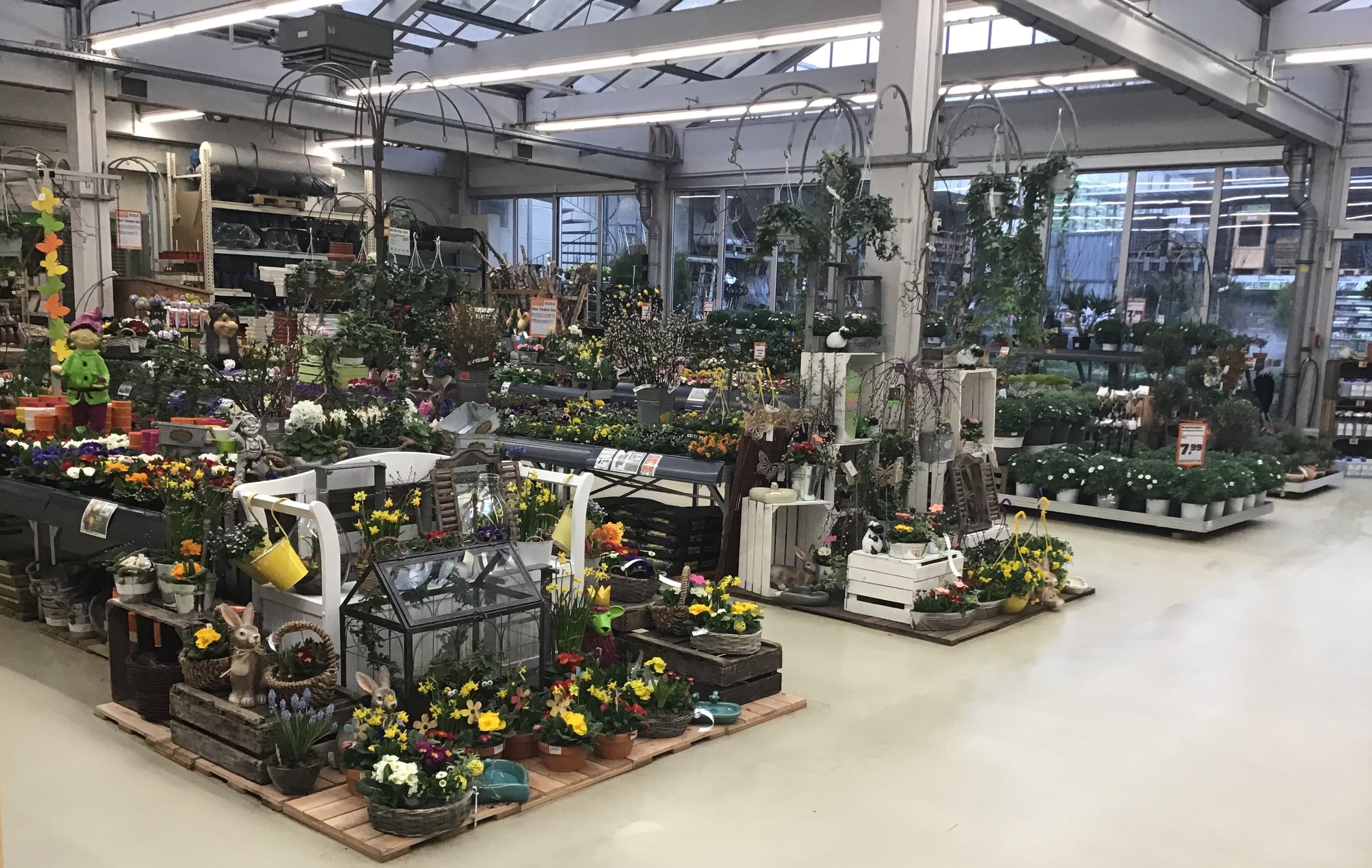 Bilder OBI Markt Köln-Dellbrück