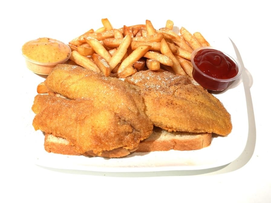 Tilapia