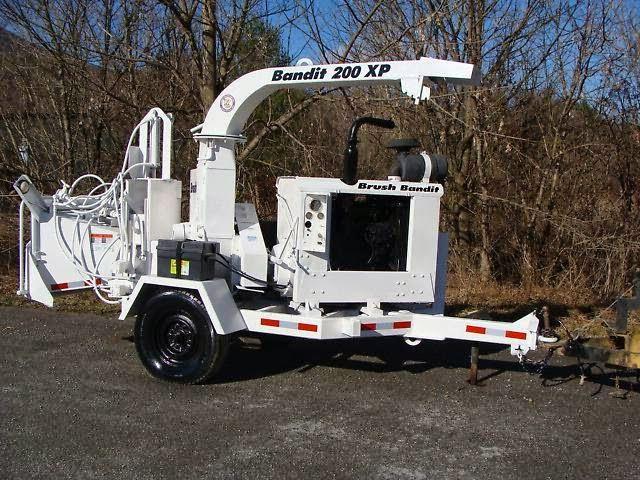 The Tree Doctor Image