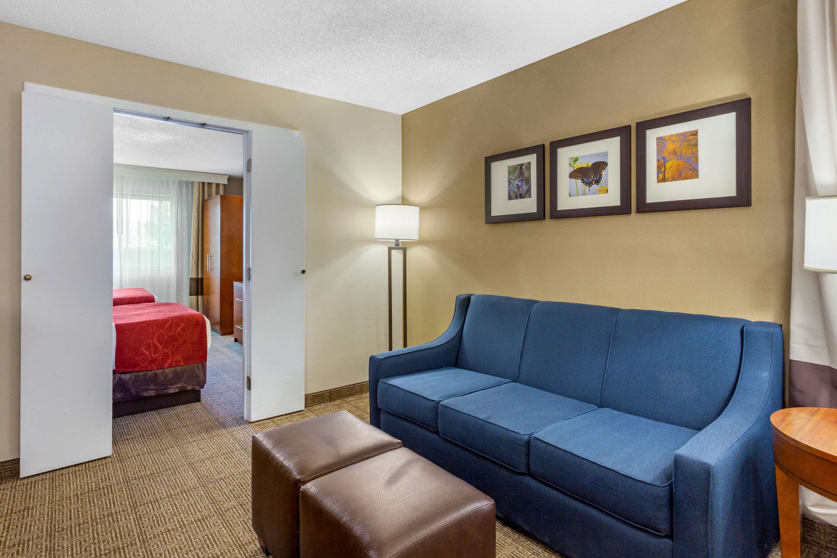 Comfort Suites Oakbrook Terrace Near Oakbrook Center Photo