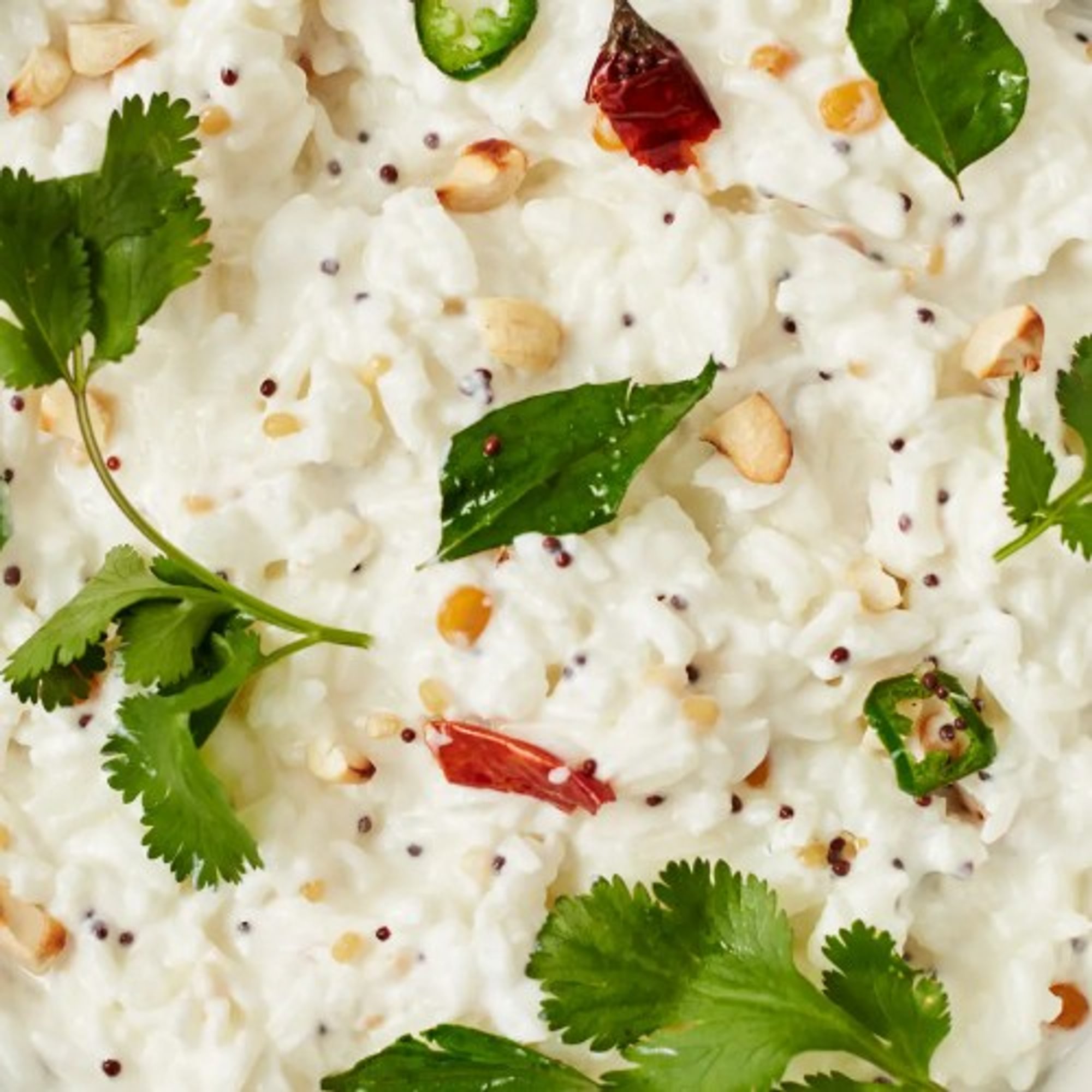Curd Rice