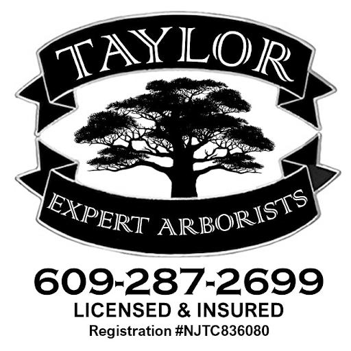 Taylor Expert Arborists - Tree Trimming and Tree Removal Services