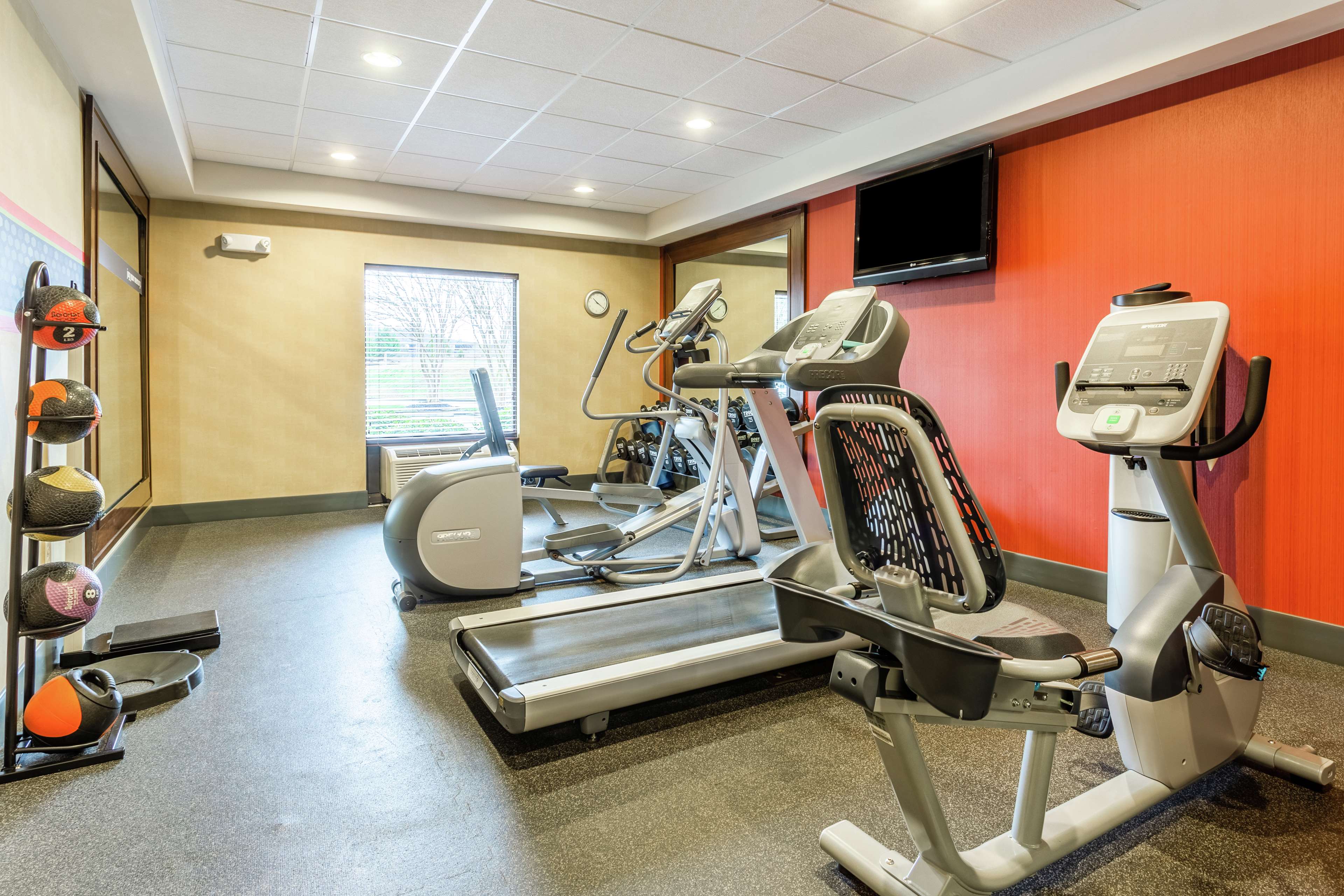 Health club  fitness center  gym