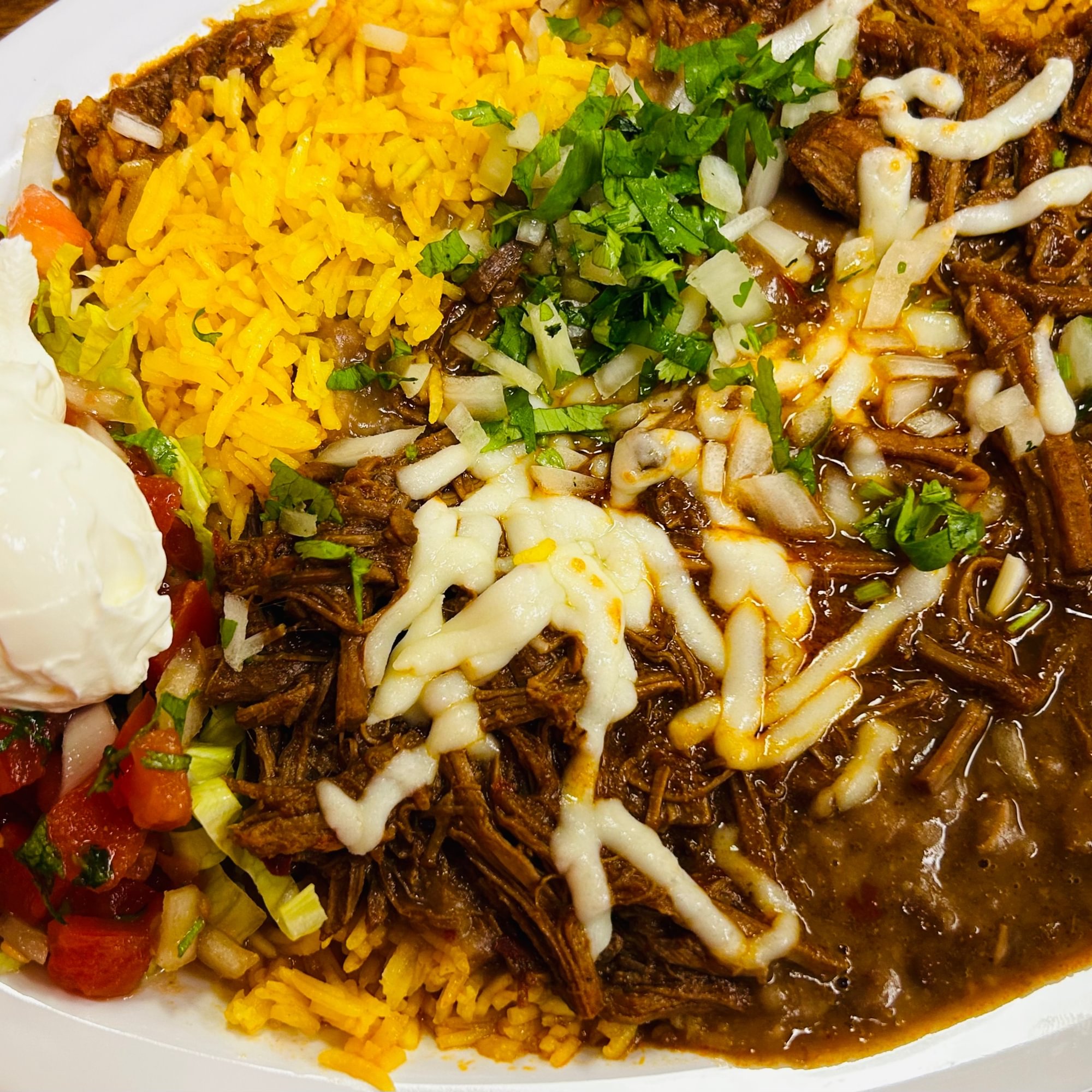 BIRRIA DISH