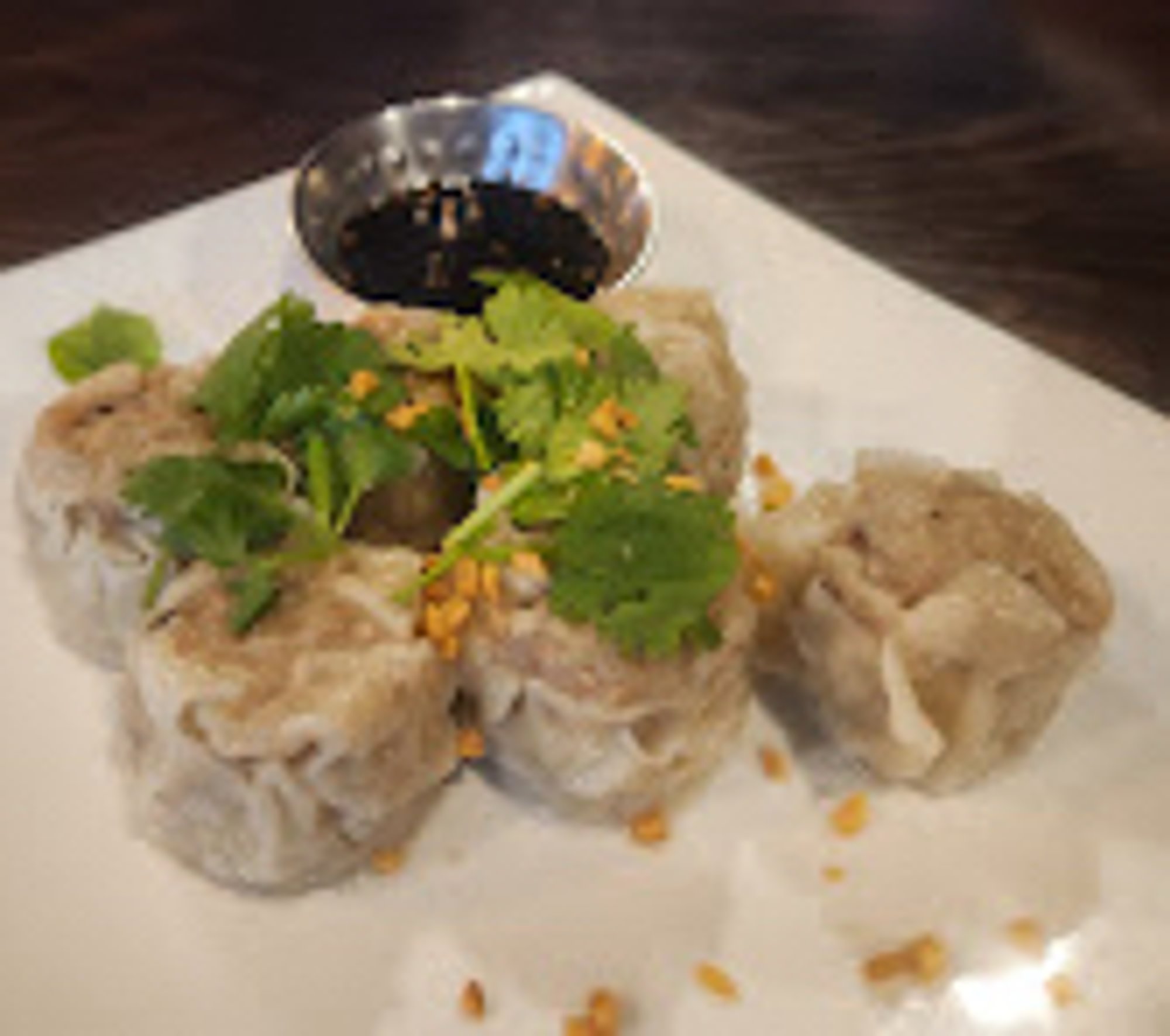 Thai Dumplings
