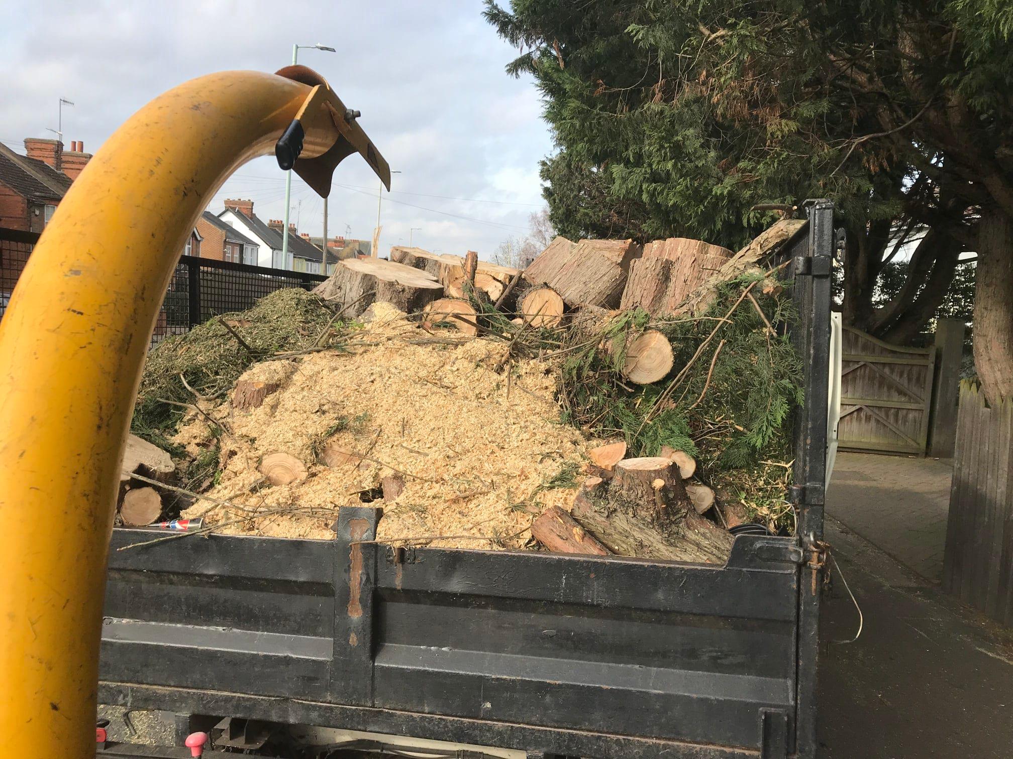 Images Tree & Garden Services