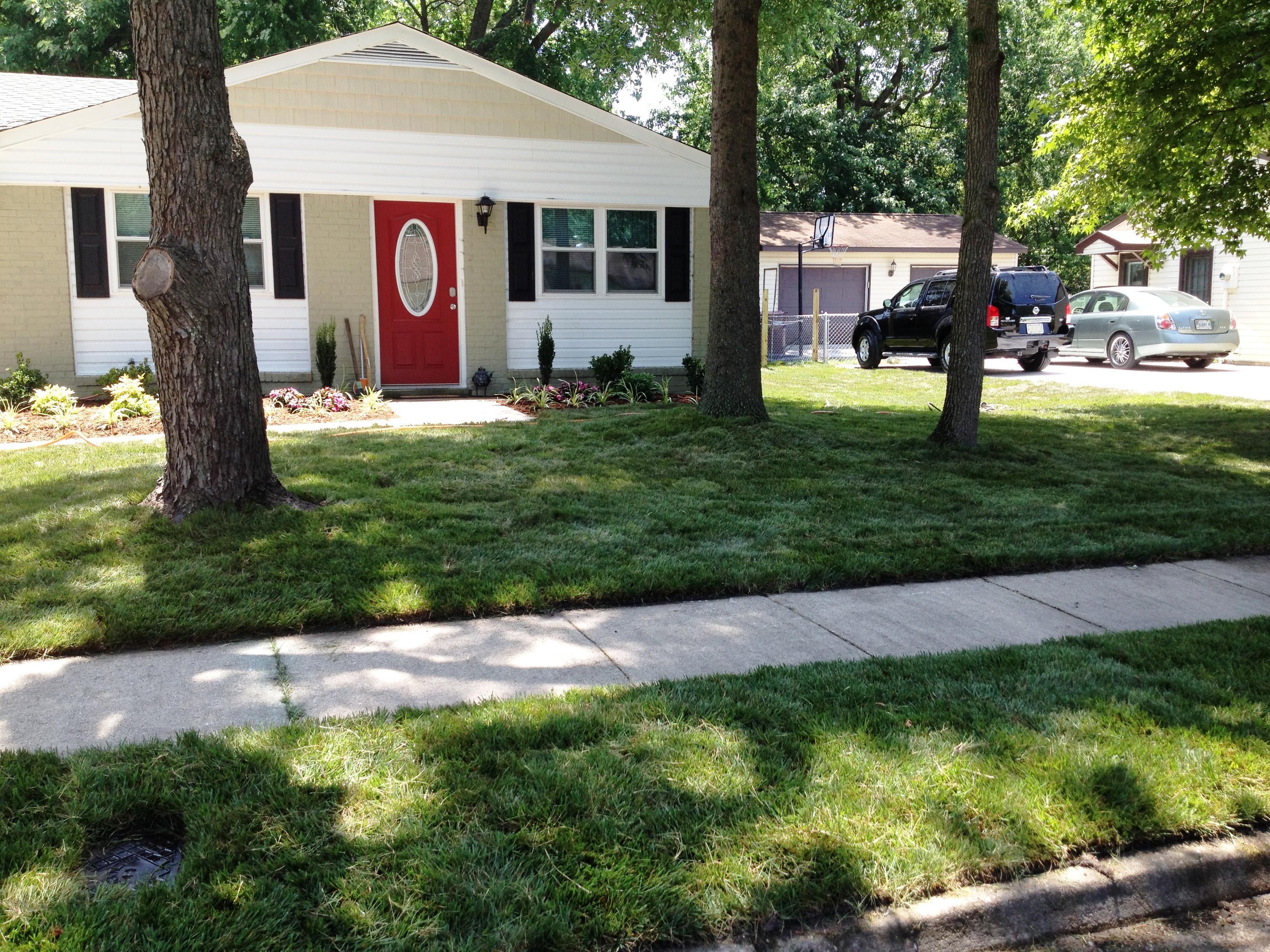 This was an entire landscape makeover. It included a driveway / patio ...