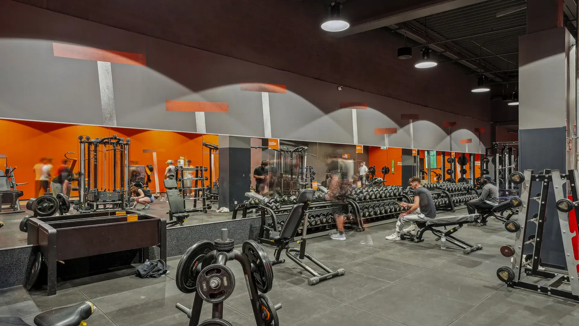 Miniature de la galerie