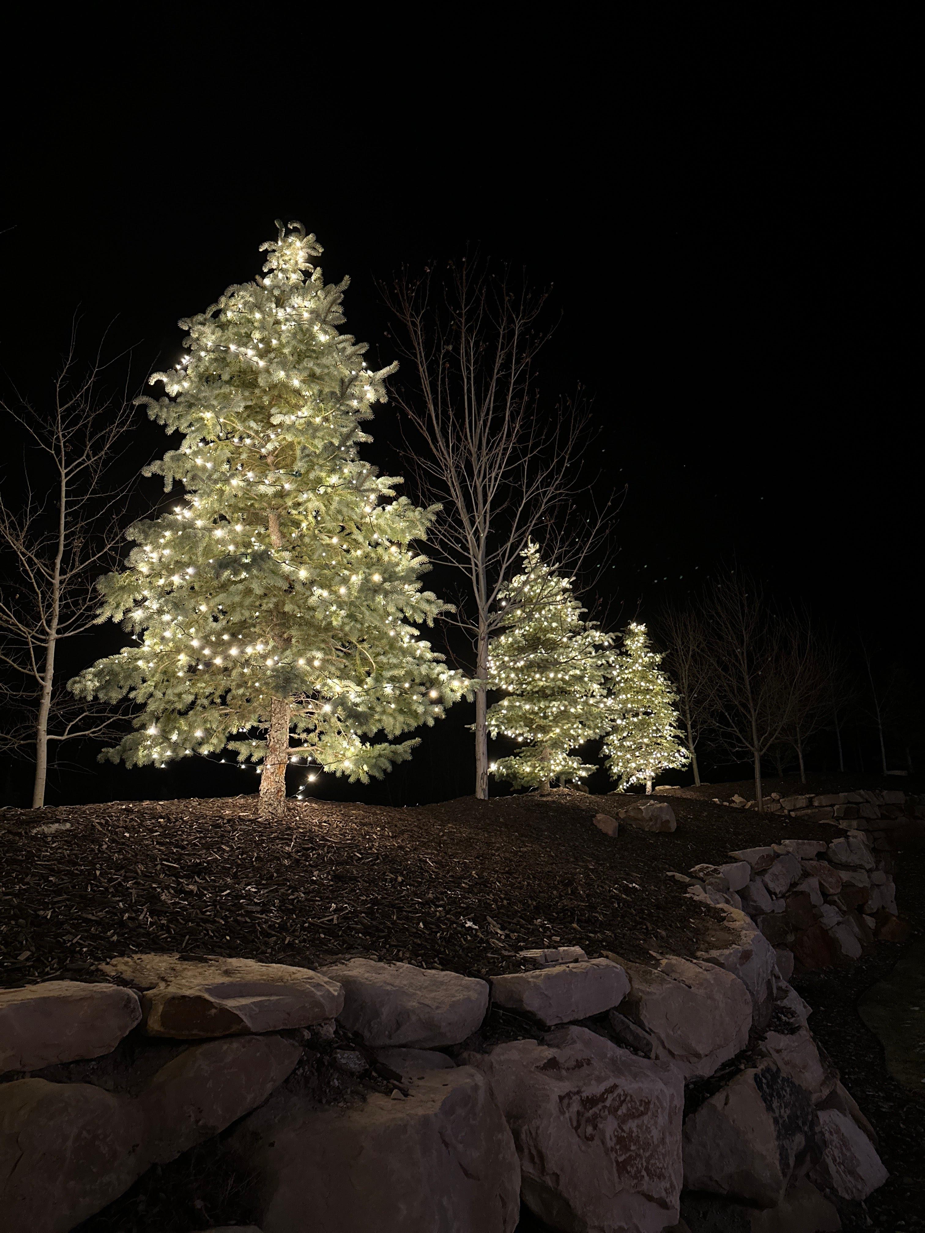 Salt Lake City Christmas Lights Image