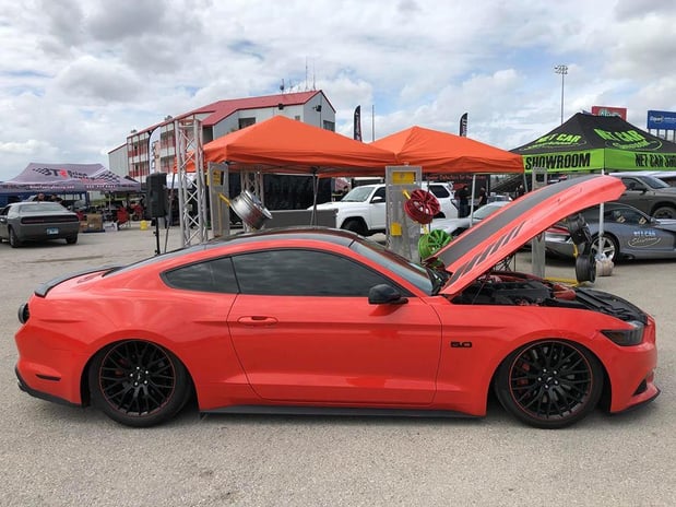 Images Pollo Performance Shop