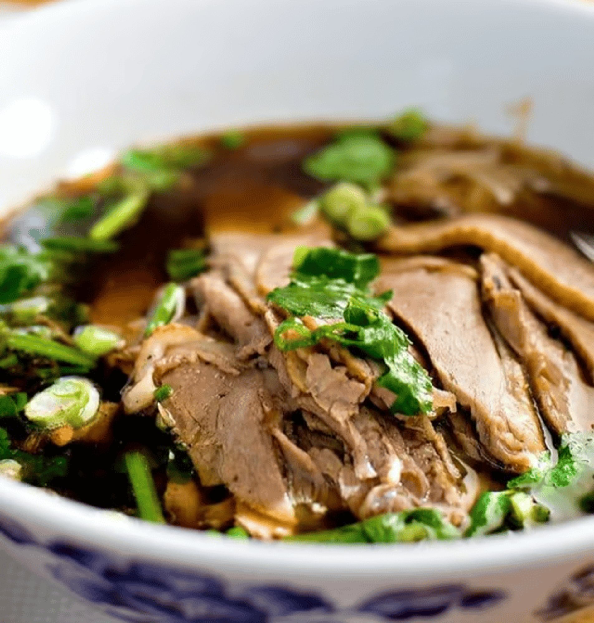 Duck Noodle