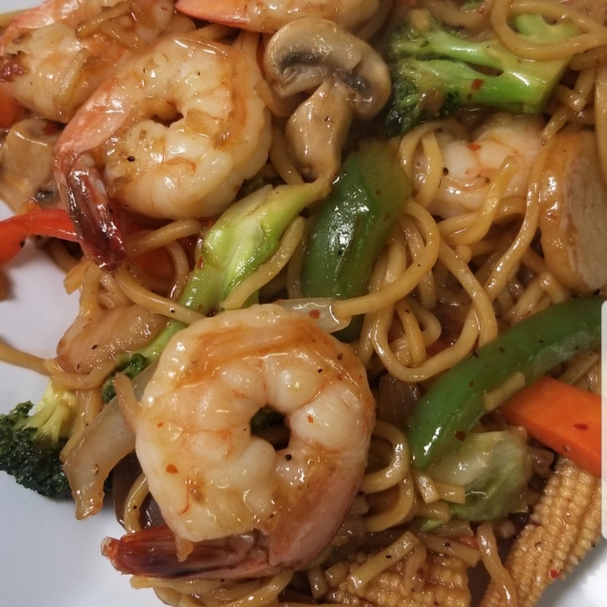 PAD TERIYAKI HALF PAN