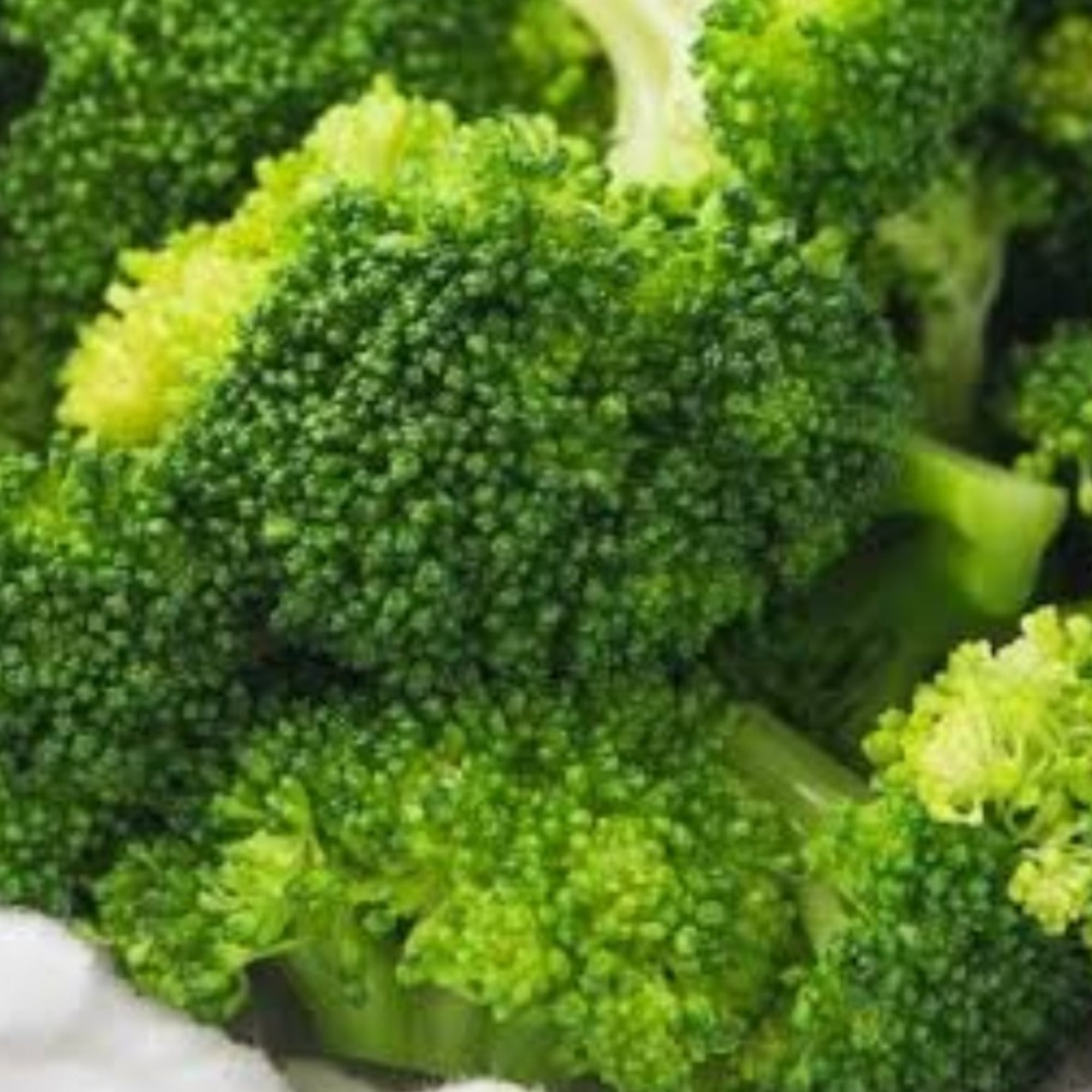 Side Steamed Broccoli