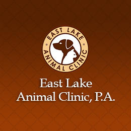 East Lake Animal Clinic Photo