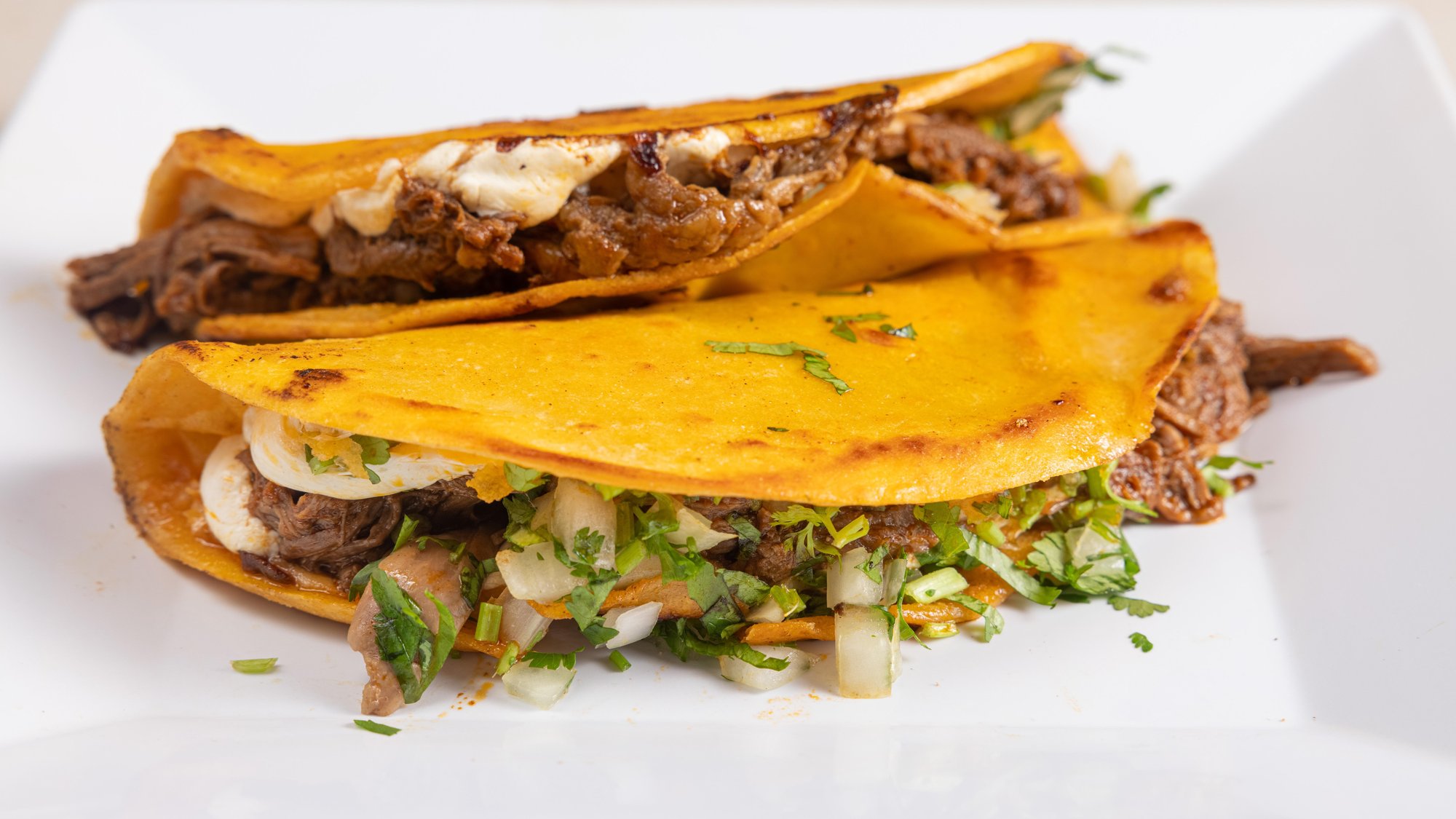 Quesadillas (1 Piece)