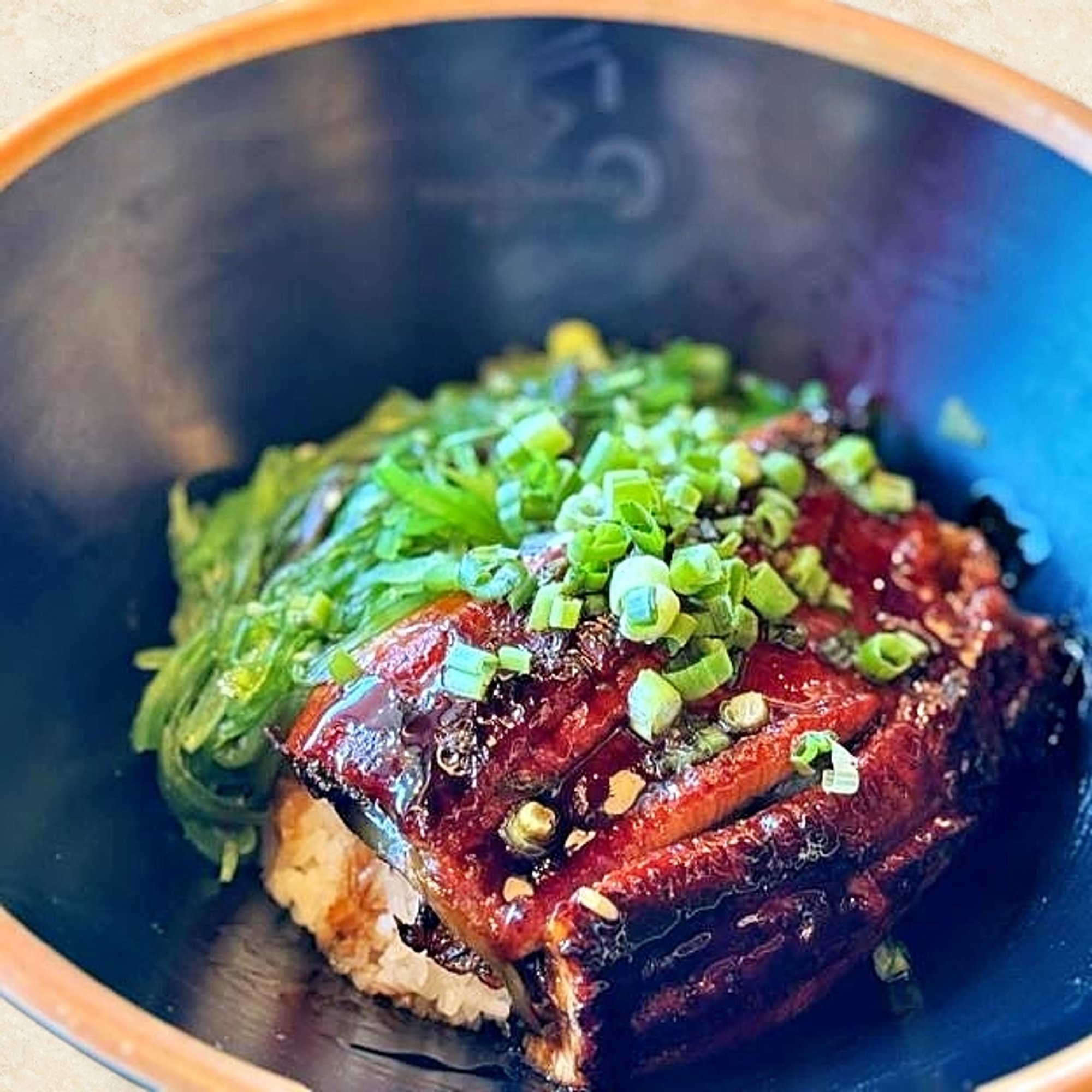 Unagi Don