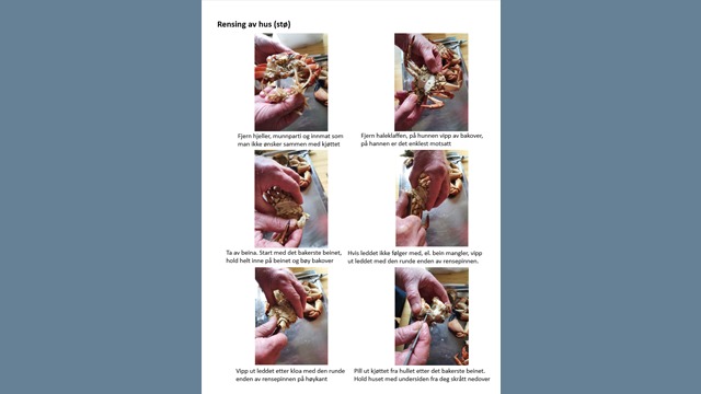Gallery thumbnail