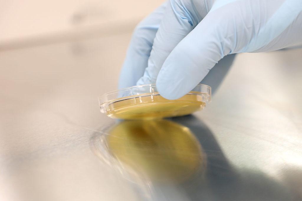 Eagle Analytical Services Image