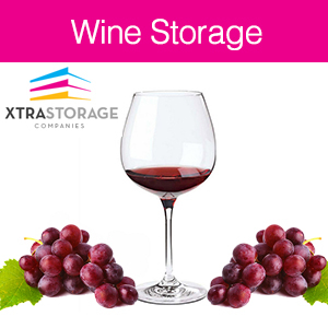 Xtra Storage Companies Photo