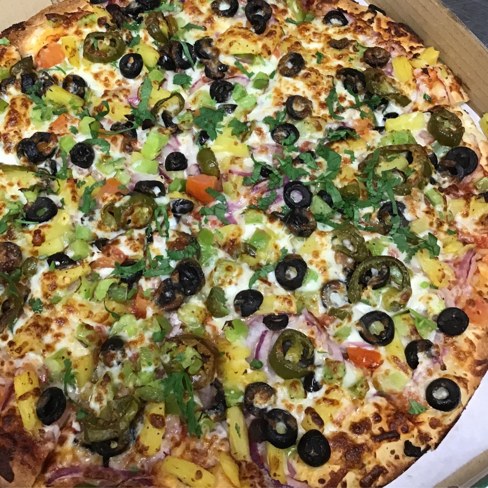 Veggie Delight Pizza