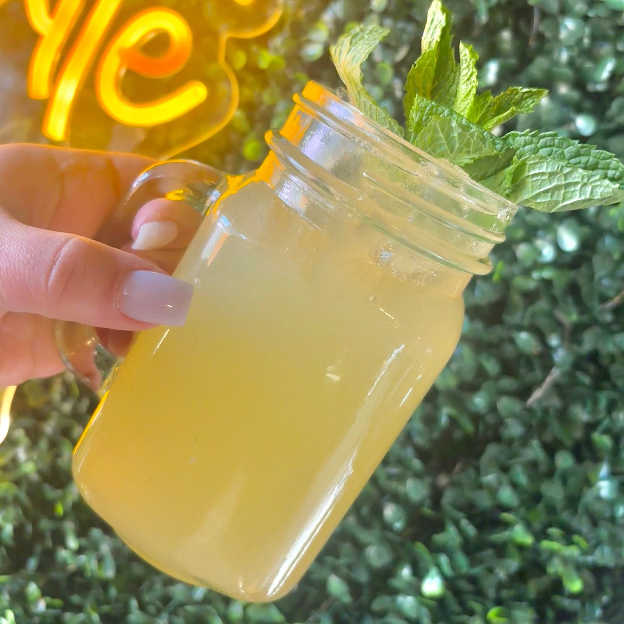 Fresh lemonade