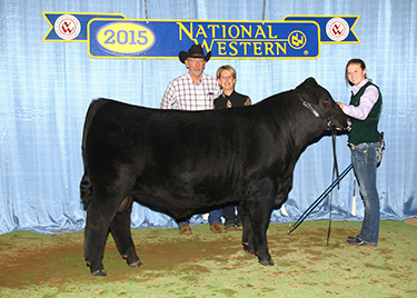 Triple K Gelbvieh Image