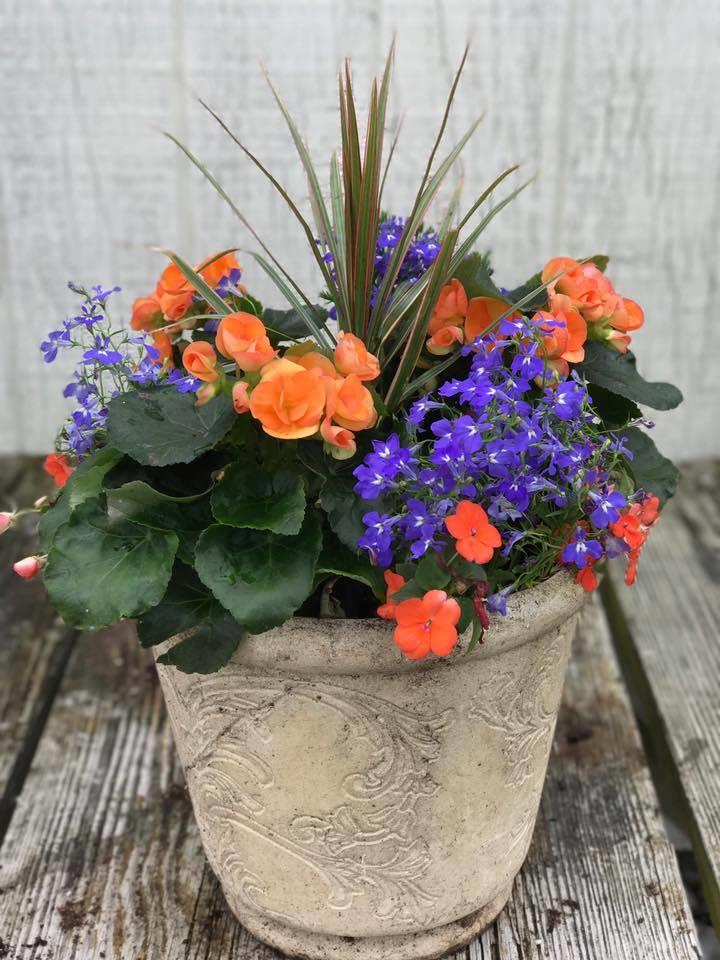 Custom Potting