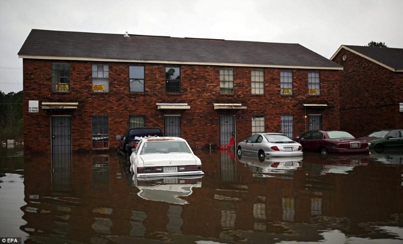 America Disaster Services Image