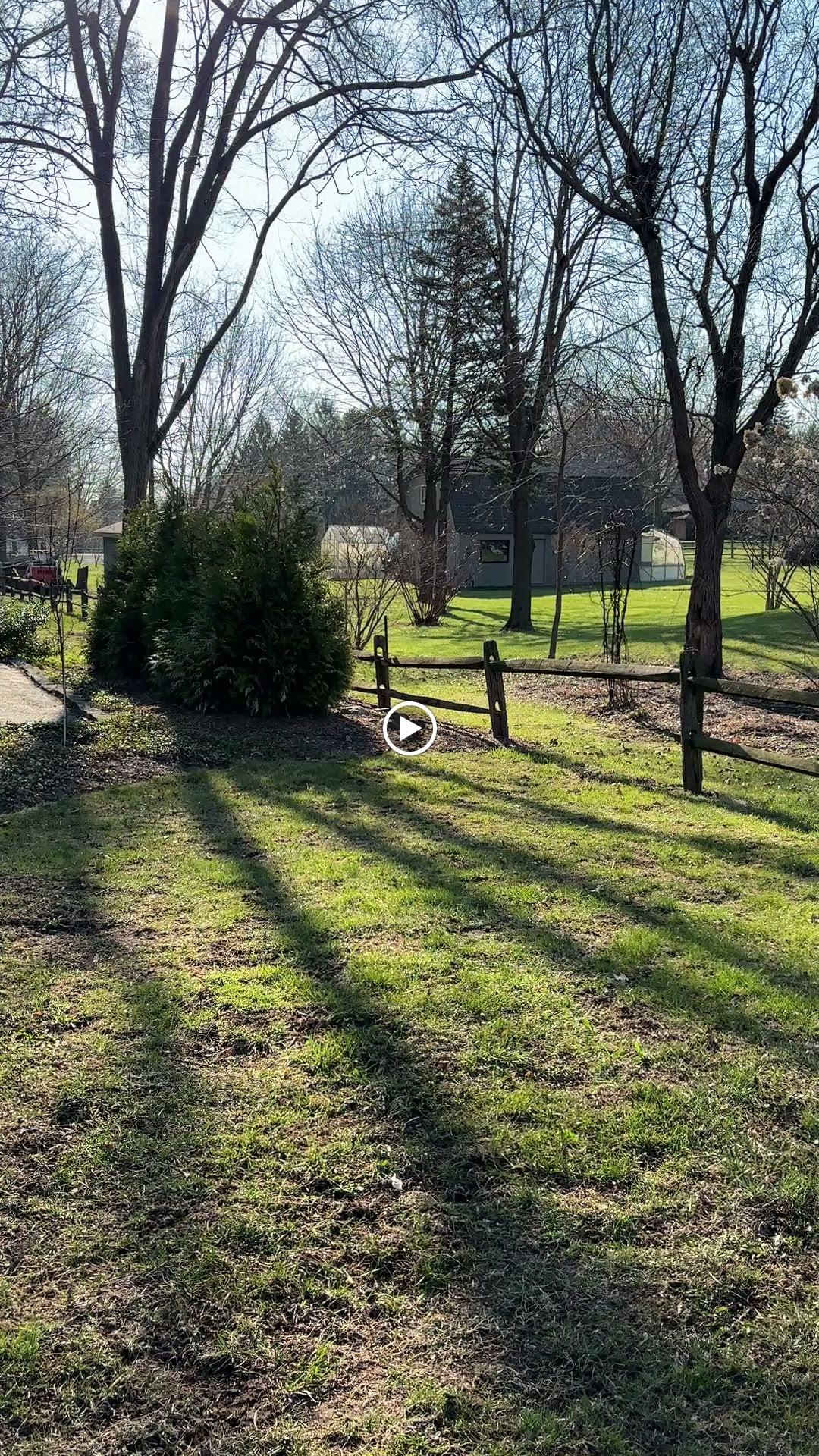 Bright Green Landscapes Inc. Logo